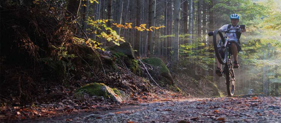 Orhtopeadics Associates